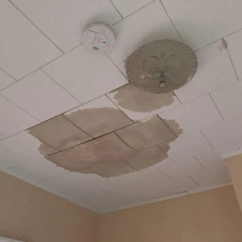 Ceiling Water Damage Repair in Kerr County, TX