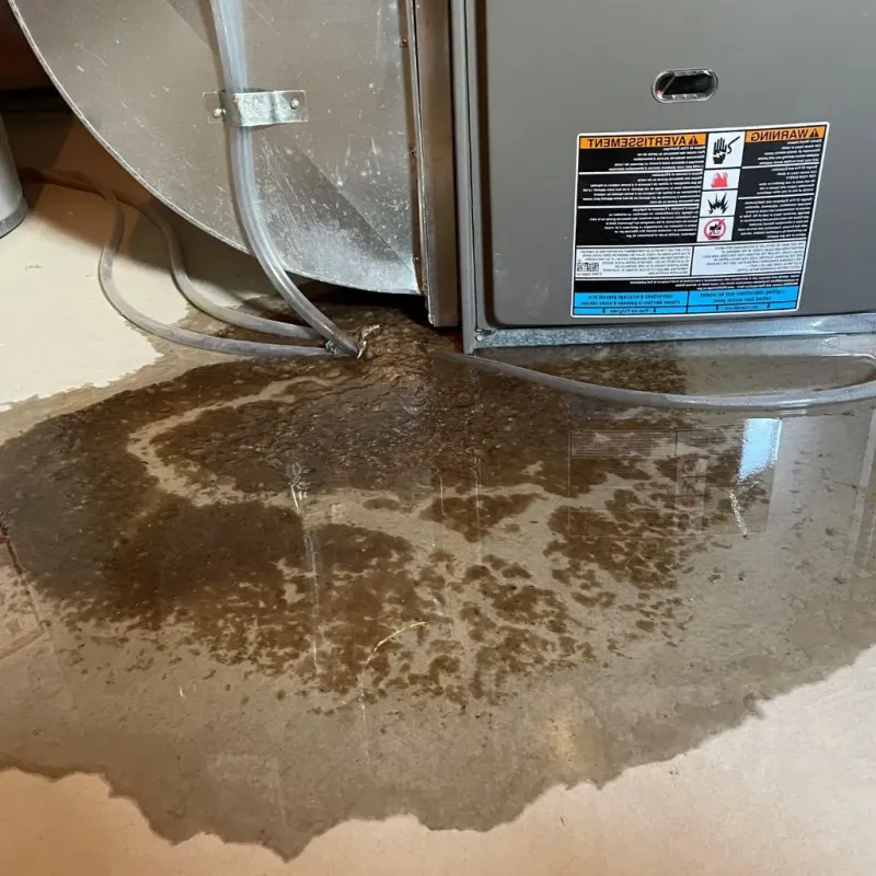 Pipe Burst and Leak Restoration in Kerr County, TX