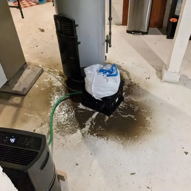 Sewage Backup Cleanup Service in Kerr County, TX